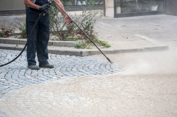 Best Roof Washing  in Whitesboro, NJ